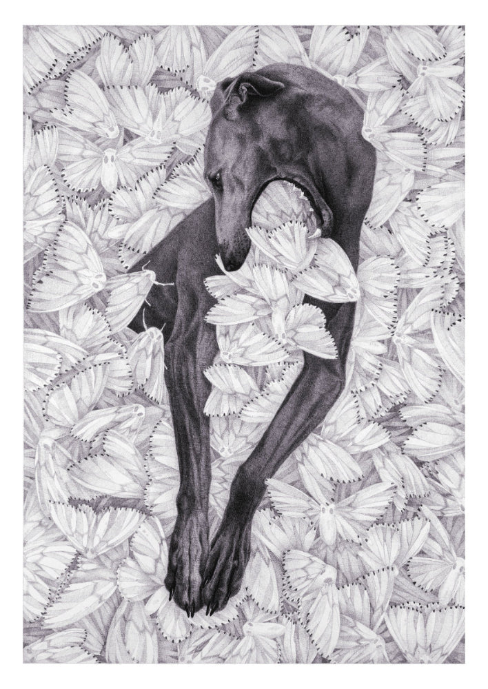 Limited Edition Print "DON'T HOLD ON TO THEM"