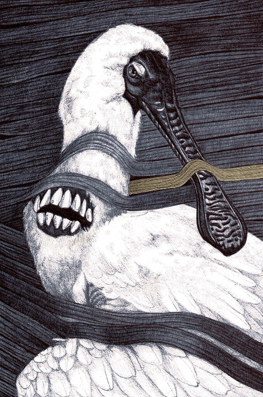 Original artwork SPOONBILL