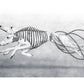 Original artwork - "Adjusting to our pace"