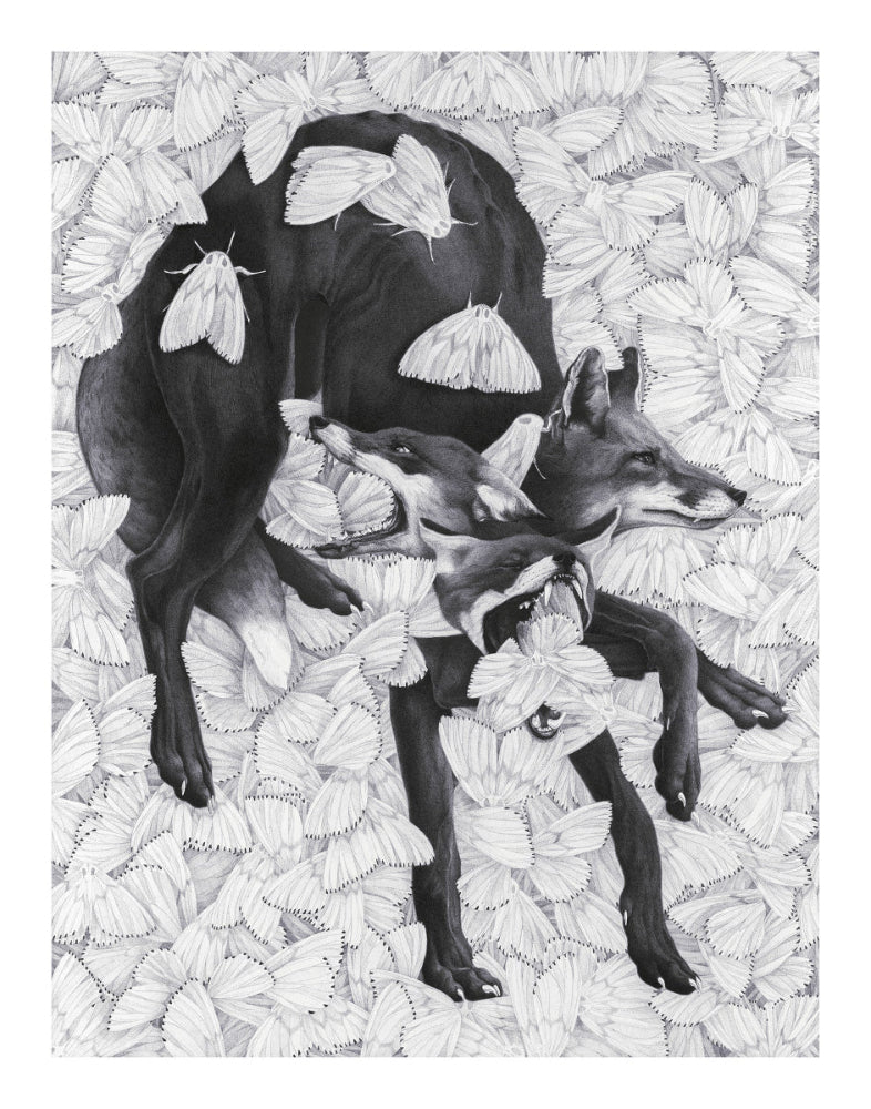 Limited Edition Print "HOW LEARNING TO STAY GROUNDED FEELS"