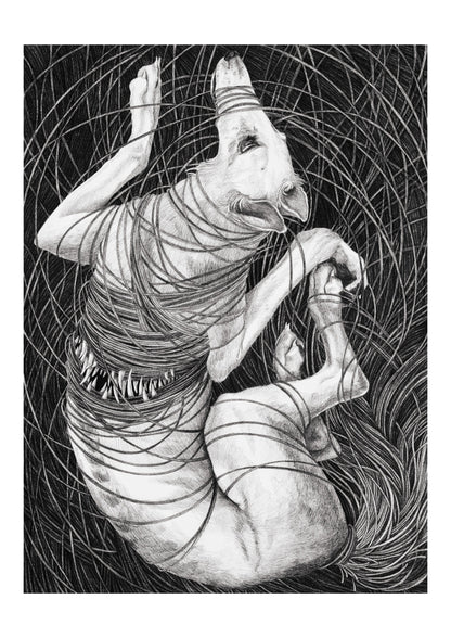 Limited Edition Print "One knot after another"