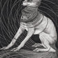 Limited Edition Print "It holds you back"