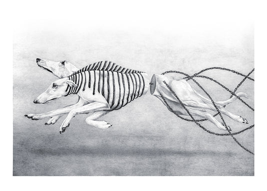 Limited Edition print "ADJUSTING TO OUR PACE"