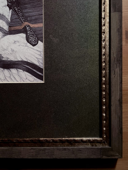 Original artwork SPOONBILL