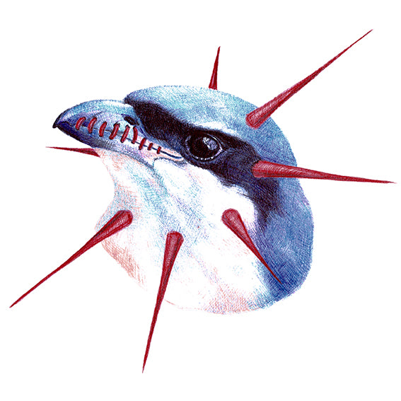 Original artwork "Red-backed shrike"