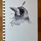 Selection of sketches and unfinished works