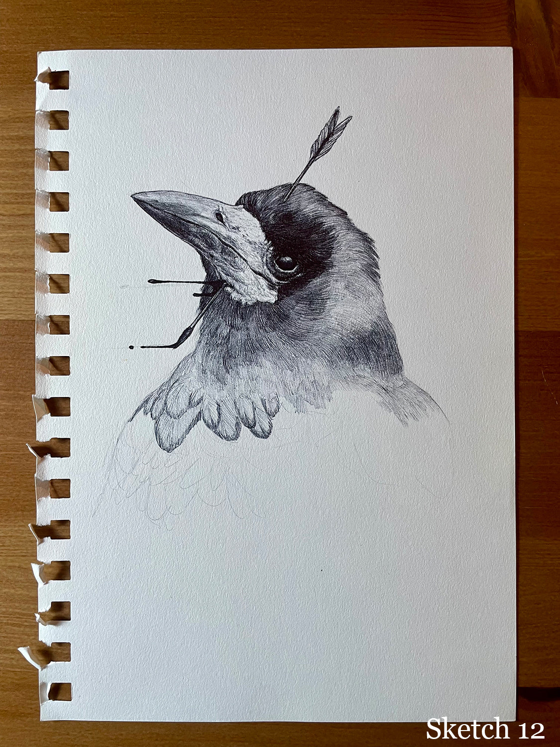 Selection of sketches and unfinished works