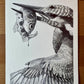 Selection of sketches and unfinished works
