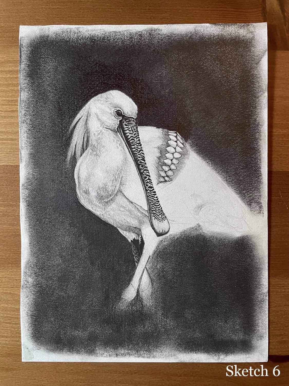 Selection of sketches and unfinished works