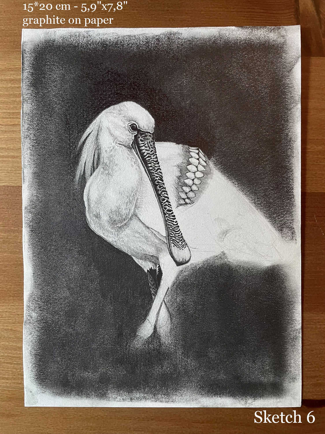 Selection of sketches and unfinished works