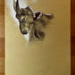 Selection of sketches and unfinished works